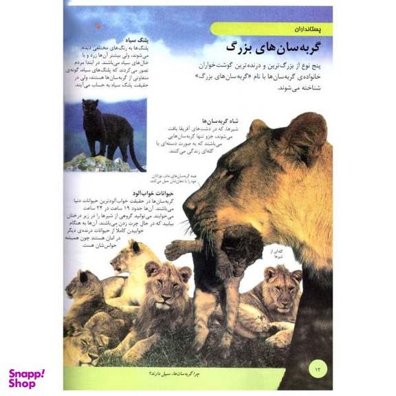 کتاب دانشنامه نوجوان (حیوانات) اثر بابک اعتمادی انتشارات پیام عدالت