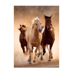 پازل 1000 قطعه کلمنتونی مدل 1084