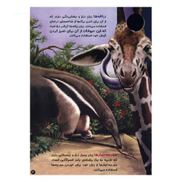 کتاب حیوانات شگفت انگیز شماره 2 نشر نبات