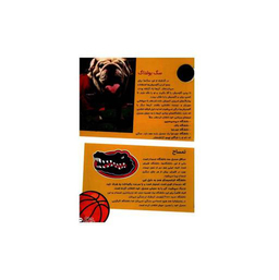 کتاب حیوانات شگفت انگیز شماره 15 نشر نبات