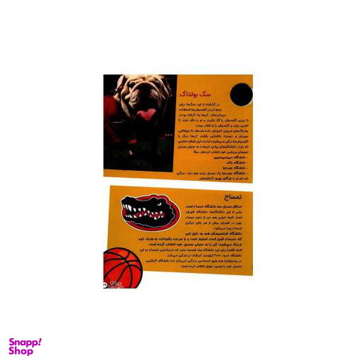 کتاب حیوانات شگفت انگیز شماره 15 نشر نبات