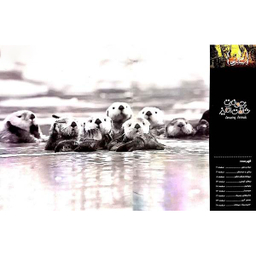 کتاب حیوانات شگفت انگیز شماره 17 نشر نبات