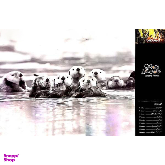 کتاب حیوانات شگفت انگیز شماره 17 نشر نبات