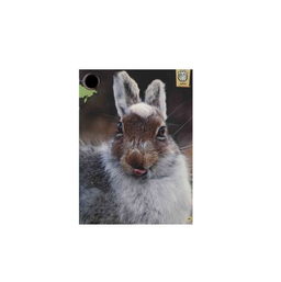 کتاب حیوانات شگفت انگیز شماره 14 نشر نبات