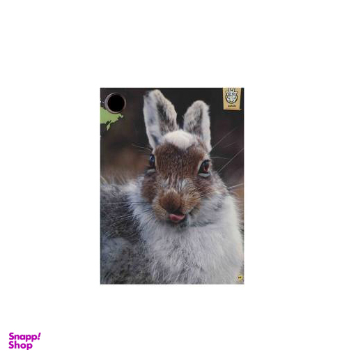 کتاب حیوانات شگفت انگیز شماره 14 نشر نبات