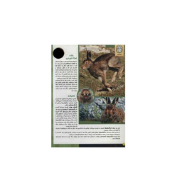 کتاب حیوانات شگفت انگیز شماره 14 نشر نبات