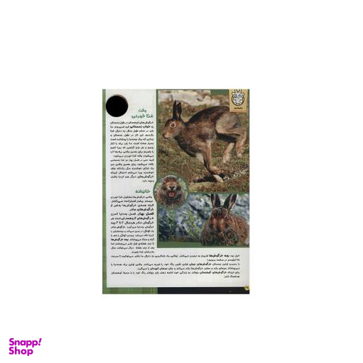 کتاب حیوانات شگفت انگیز شماره 14 نشر نبات