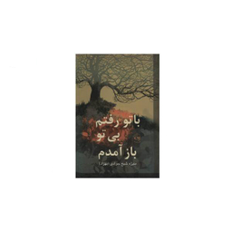 با تو رفتم بی تو باز آمدم