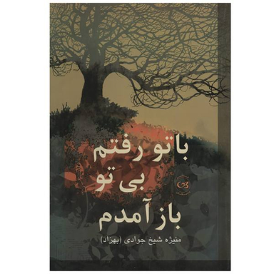 با تو رفتم بی تو باز آمدم