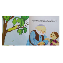 تولد یک پروانه