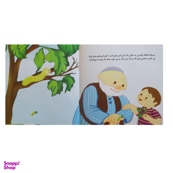 تولد یک پروانه