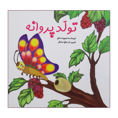 تولد یک پروانه