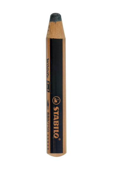 مداد رنگی 3 کاره استابیلو (Stabilo) مدل وودی کد 880/750 رنگ مشکی