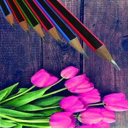 مداد مشکی پانی (Pani) مدل Soft بسته 6 عددی