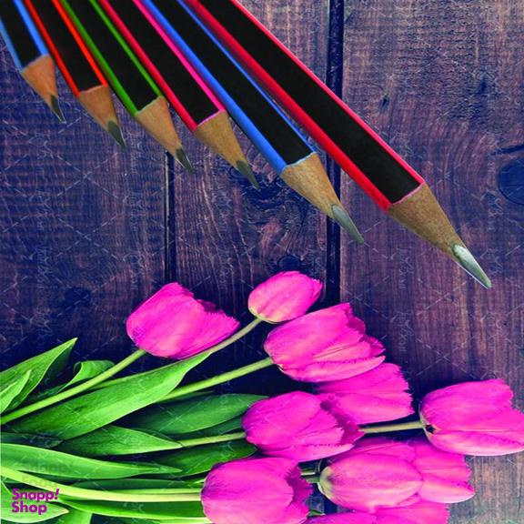 مداد مشکی پانی (Pani) مدل Soft بسته 6 عددی