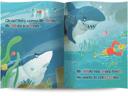 کتاب Phonics Storybook 4 همراه با سی دی انتشارات پاسارگاد