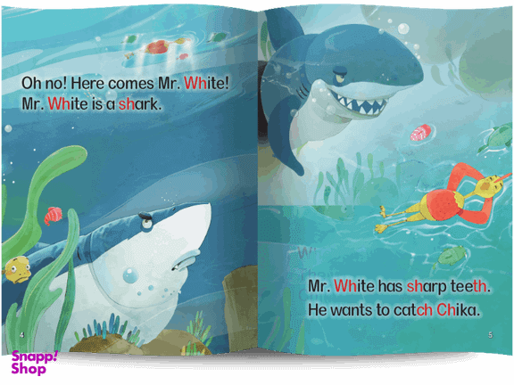 کتاب Phonics Storybook 4 همراه با سی دی انتشارات پاسارگاد
