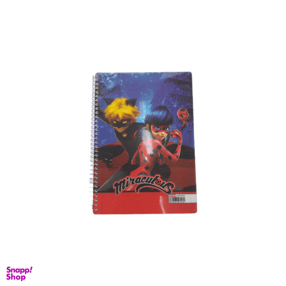 دفتر مشق 100 برگ گلبرگ طرح دختر کفشدوزکی