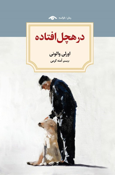 کتاب در هچل افتاده اثر اورلی والونی نشر کتاب دیدآور
