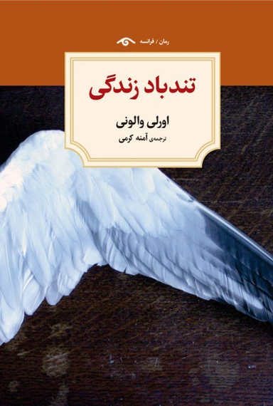 کتاب تندباد زندگی اثر اورلی والونی انتشارات دیدار
