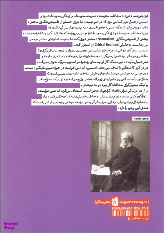 کتاب مرغابی وحشی اثر هنریک ایبسن انتشارات بیدگل‌
