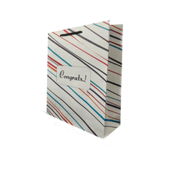 ساک هدیه مدل مورب