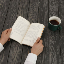 کتاب این جهان گذرا اثر دیوید کریسچن انتشارات بیدگل