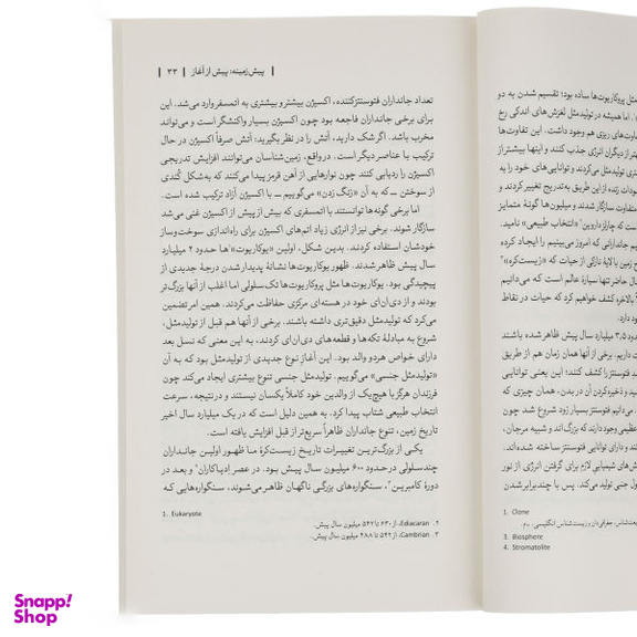 کتاب این جهان گذرا اثر دیوید کریسچن انتشارات بیدگل