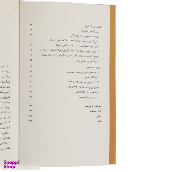 کتاب این جهان گذرا اثر دیوید کریسچن انتشارات بیدگل