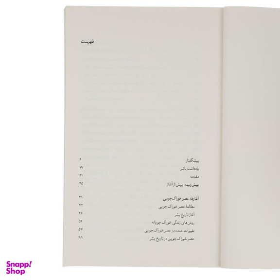 کتاب این جهان گذرا اثر دیوید کریسچن انتشارات بیدگل