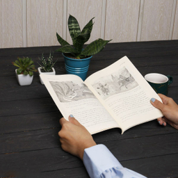 کتاب اسطوره های ایرانی اثر وستا سرخوش کرتیس نشر مرکز
