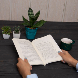 کتاب جهان هستی هوایت را دارد اثر گبریل برنستین نشر میلکان