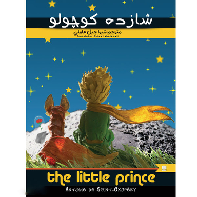 کتاب شازده کوچولو اثر آنتوان دوسنت اگزوپری انتشارات نگین ایران