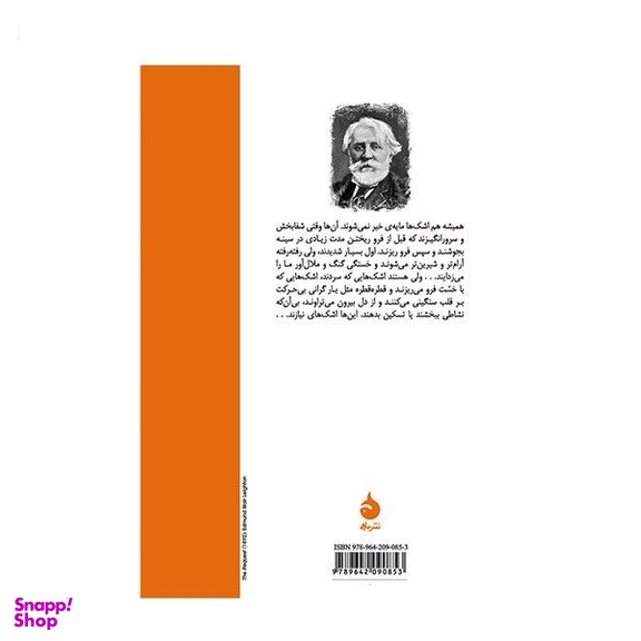 کتاب رودین اثر ایوان تورگنیف نشر ماهی