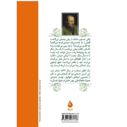 کتاب یک اتفاق مسخره اثر فیودور داستایوفسکی نشر ماهی