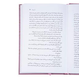 کتاب اگنس گری اثر ان برونته نشر نی