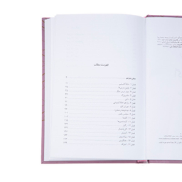 کتاب اگنس گری اثر ان برونته نشر نی