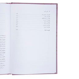 کتاب اگنس گری اثر ان برونته نشر نی