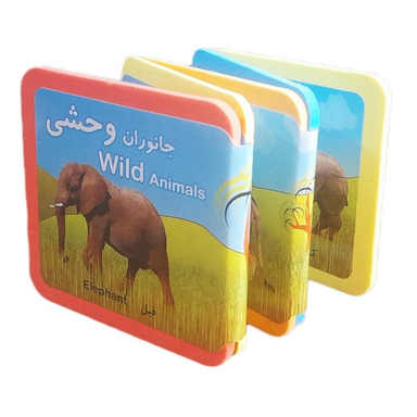 کتاب جانوران وحشی اثر راید آموزگار و مسعود مستقیم انتشارات فرشتگان