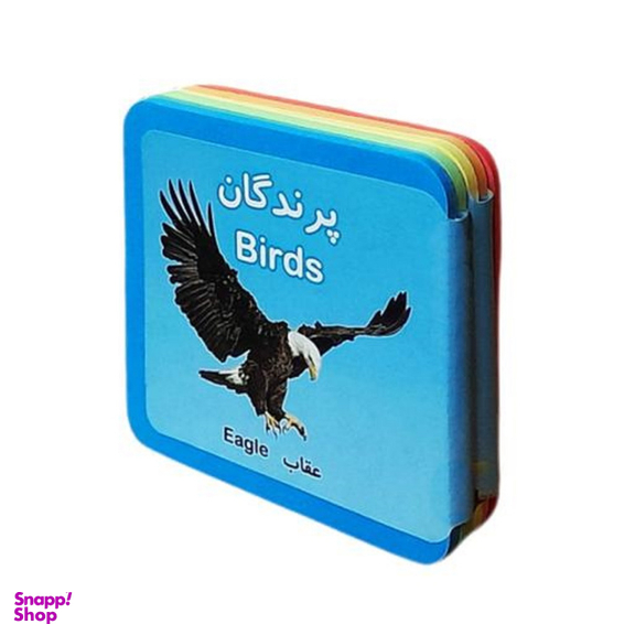 کتاب پرندگان اثر راید آموزگار و مسعود مستقیم انتشارات فرشتگان