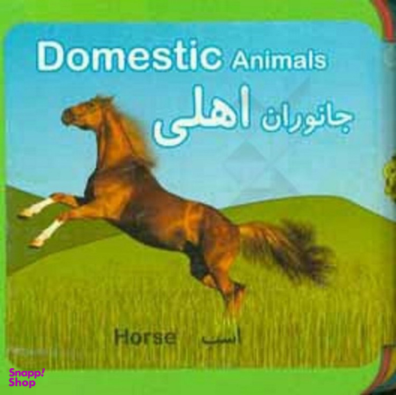 کتاب جانوران اهلی اثر راید آموزگار و مسعود مستقیم انتشارات فرشتگان