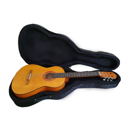 سافت کیس گیتار مدل 001