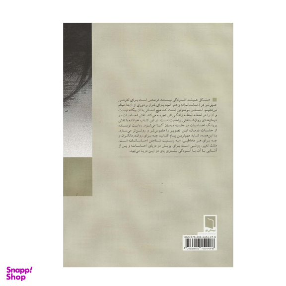 کتاب مشکل همیشه افسردگی نیست اثر هیلاری جیکوب هندل انتشارات بینش نو
