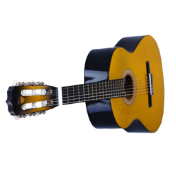 گیتار دایموند (Diamond) مدل TS600