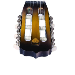 گیتار دایموند (Diamond) مدل TS600