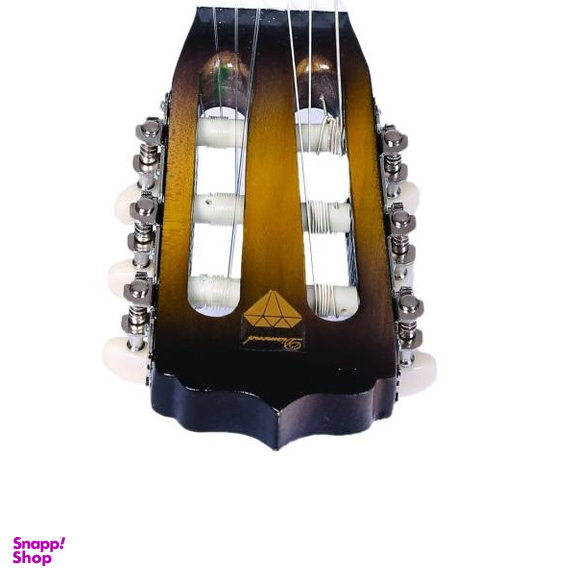گیتار دایموند (Diamond) مدل TS600