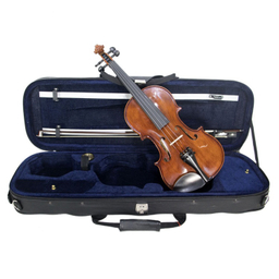 ویولن آماتیس مدل Amati-200 سایز 4/4