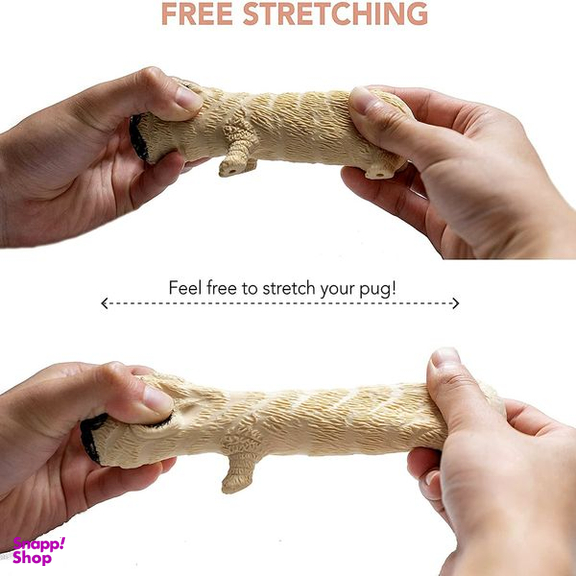 فیجت ضد استرس دنیای سرگرمی های کمیاب مدل سگ بولداگ