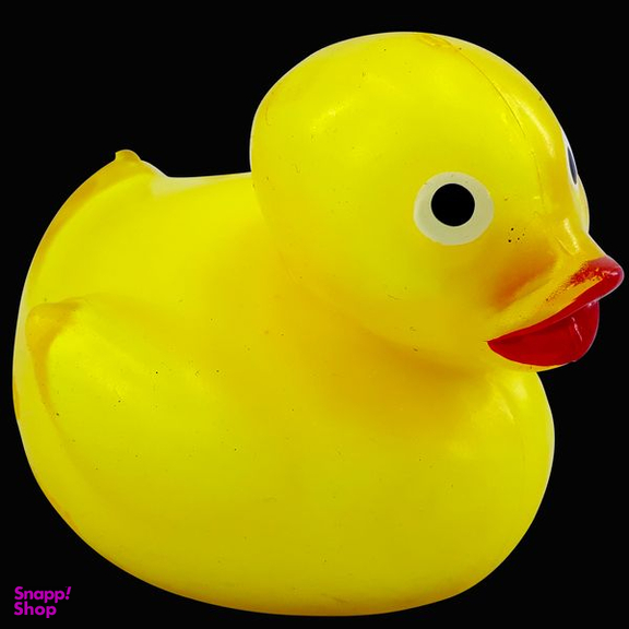 فیجت ضد استرس دنیای سرگرمی های کمیاب مدل اسپلت طرح اردک له شونده