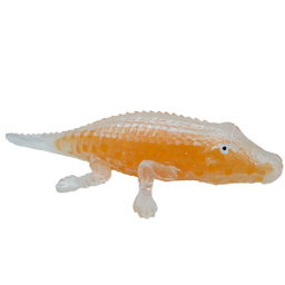 فیجت ضد استرس دنیای سرگرمی های کمیاب مدل سوسمار خاک ژله ایی